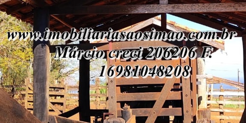 WhatsApp Image 2025-08-08 at 08.28.35 (2)