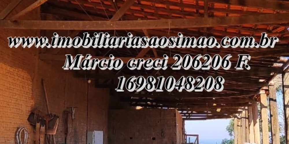 WhatsApp Image 2025-08-08 at 08.28.35