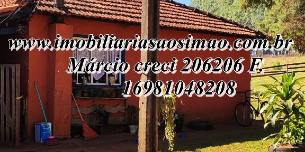 WhatsApp Image 2025-08-08 at 08.28.36