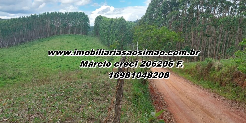 WhatsApp Image 2025-08-08 at 08.29.00