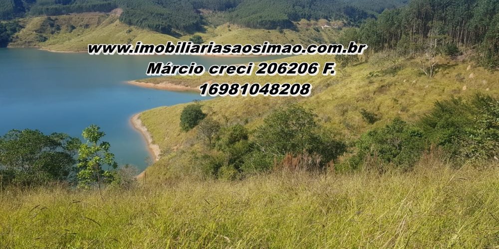 WhatsApp Image 2025-08-08 at 08.29.02