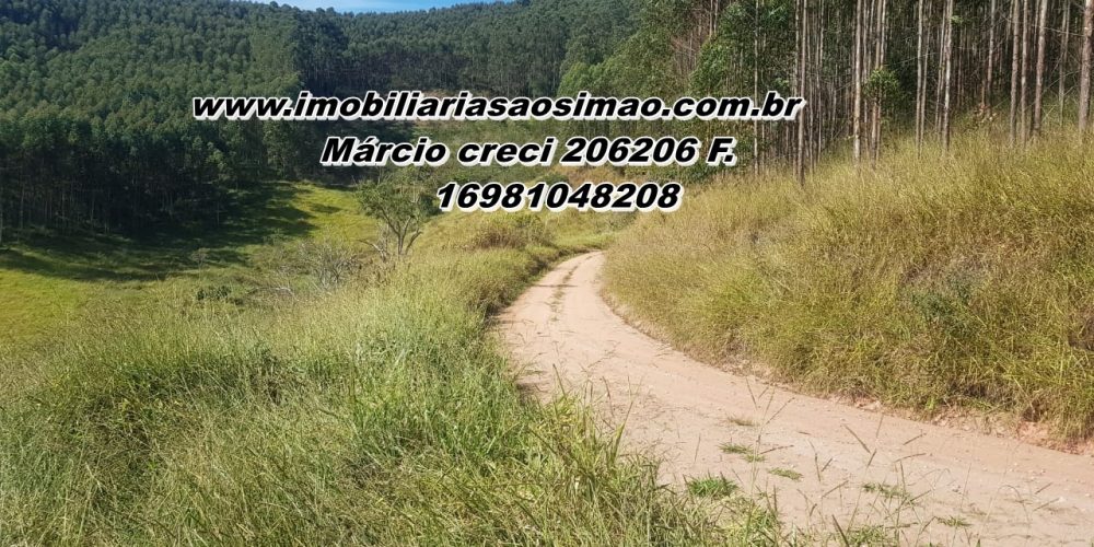 WhatsApp Image 2025-08-08 at 08.29.03