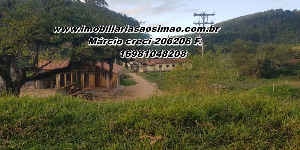 WhatsApp Image 2025-08-08 at 08.29.04 (1)