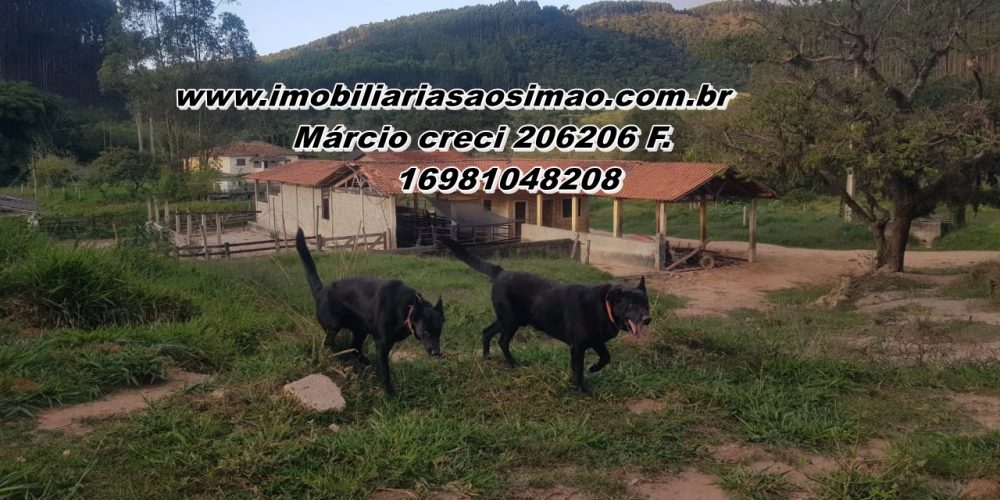 WhatsApp Image 2025-08-08 at 08.29.04