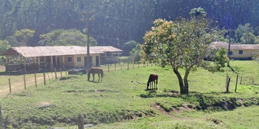 WhatsApp Image 2025-08-08 at 08.29.06