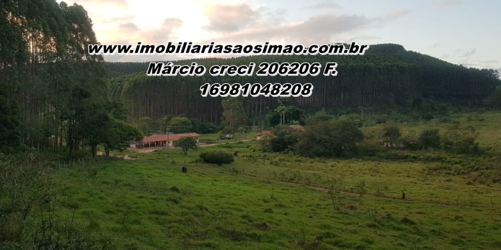 WhatsApp Image 2025-08-08 at 08.29.07 (1)