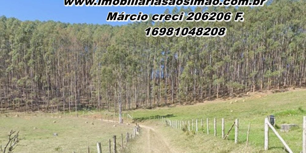 WhatsApp Image 2025-08-08 at 08.29.07 (2)