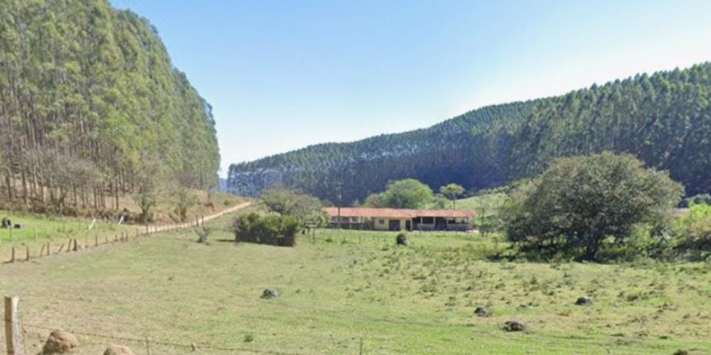 WhatsApp Image 2025-08-08 at 08.29.08