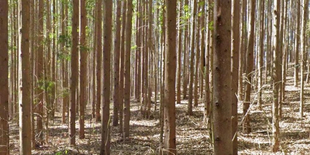 WhatsApp Image 2025-08-08 at 08.29.09