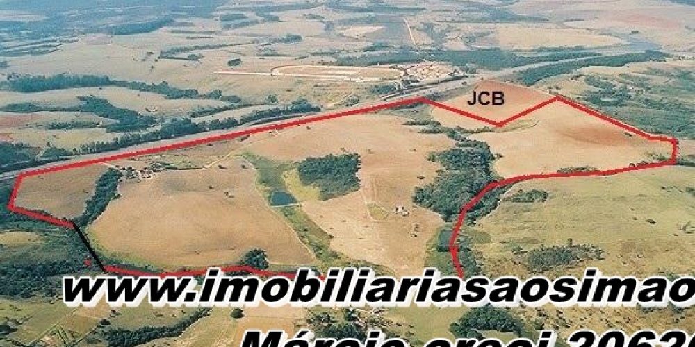 WhatsApp Image 2025-08-08 at 08.29.38