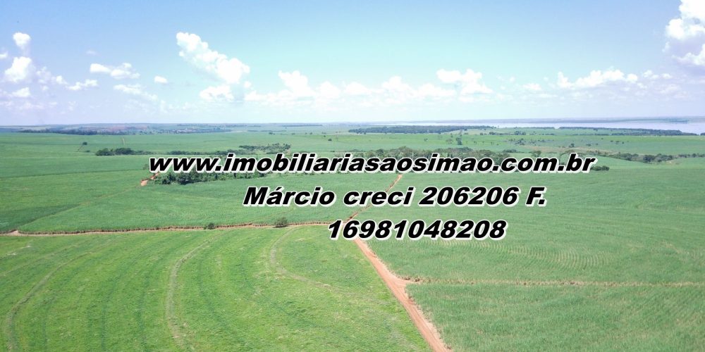 WhatsApp Image 2025-08-08 at 08.30.43