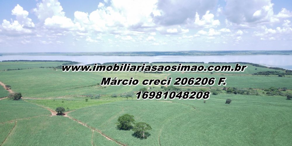 WhatsApp Image 2025-08-08 at 08.30.44 (1)