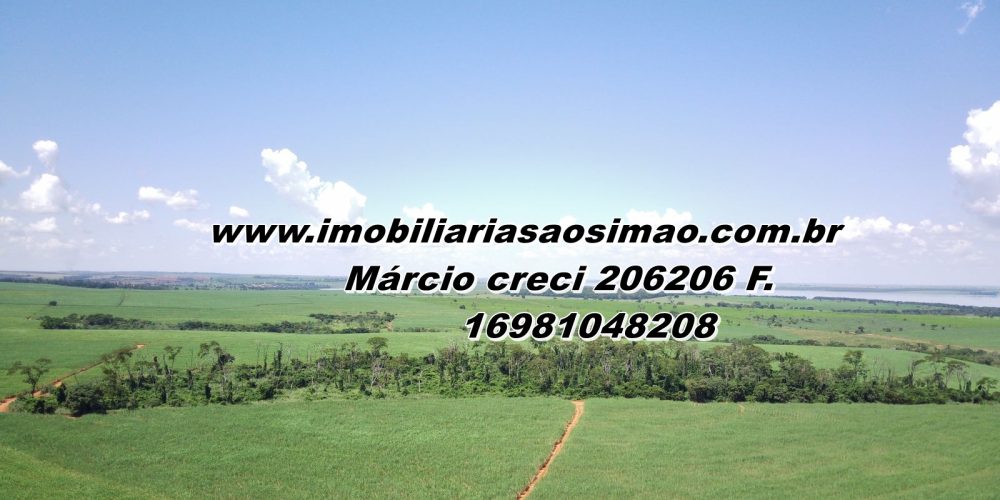 WhatsApp Image 2025-08-08 at 08.30.44