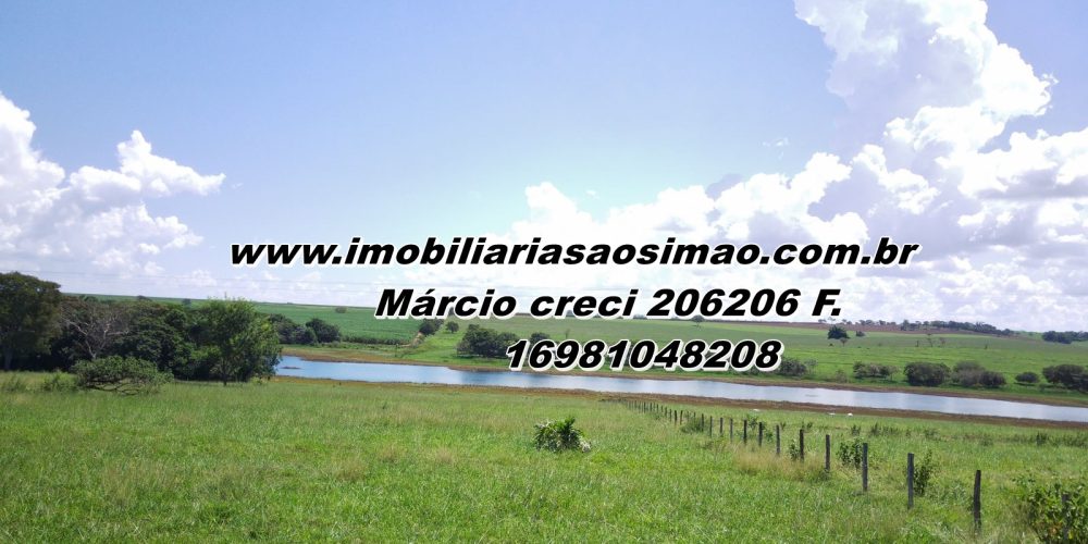 WhatsApp Image 2025-08-08 at 08.30.45 (2)