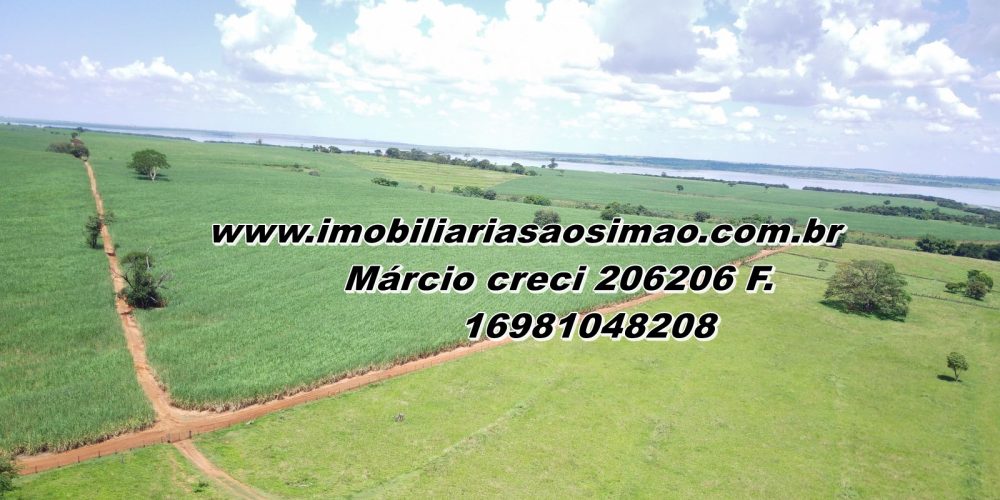 WhatsApp Image 2025-08-08 at 08.30.45 (4)