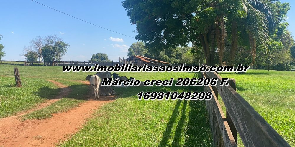 WhatsApp Image 2025-08-08 at 08.30.45