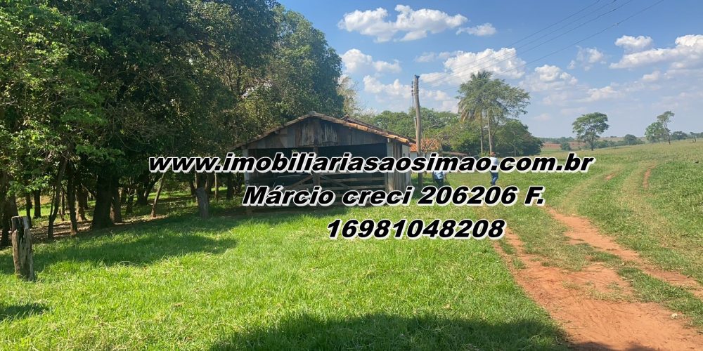 WhatsApp Image 2025-08-08 at 08.30.46 (1)