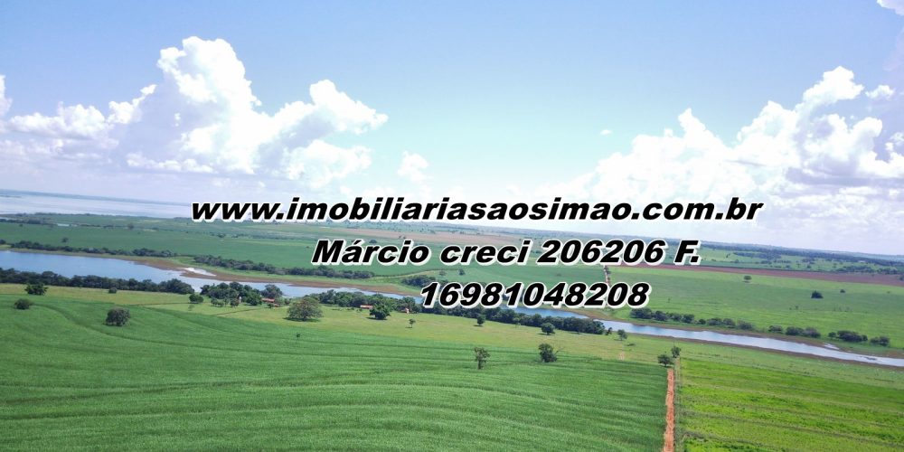 WhatsApp Image 2025-08-08 at 08.30.46 (2)