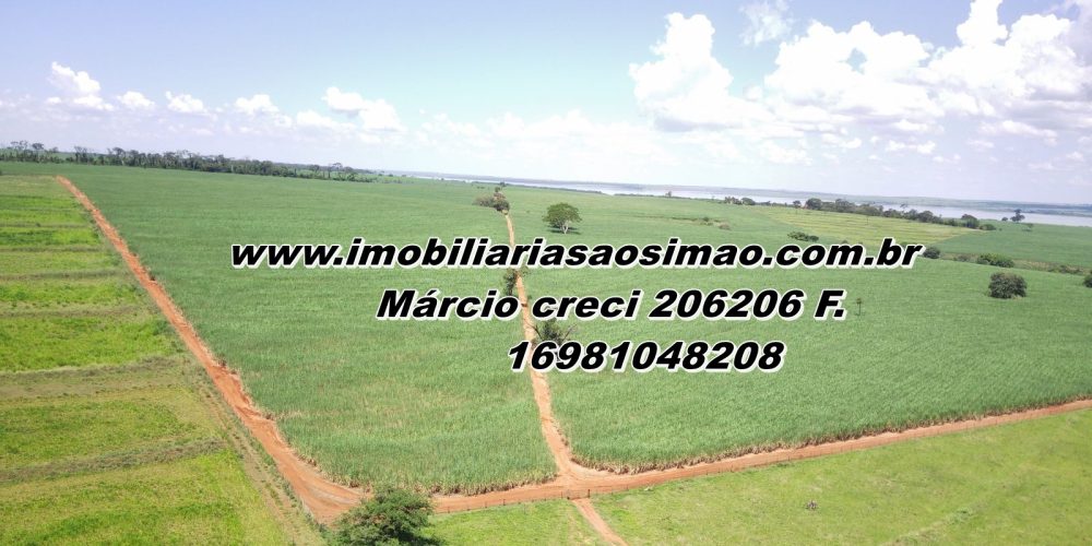 WhatsApp Image 2025-08-08 at 08.30.46