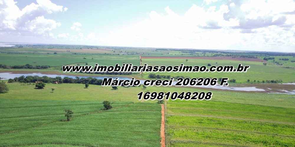 WhatsApp Image 2025-08-08 at 08.30.47