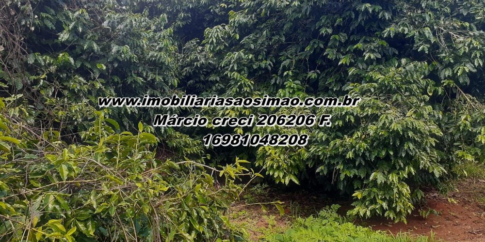 WhatsApp Image 2025-08-08 at 08.41.04 (1)