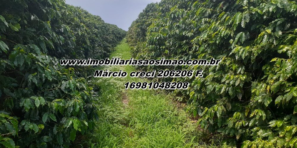 WhatsApp Image 2025-08-08 at 08.41.05 (1)