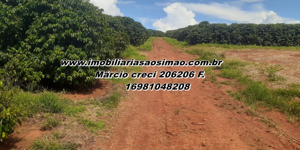 WhatsApp Image 2025-08-08 at 08.41.05 (3)