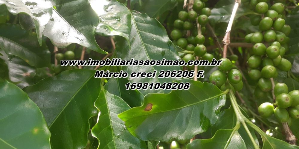 WhatsApp Image 2025-08-08 at 08.41.05