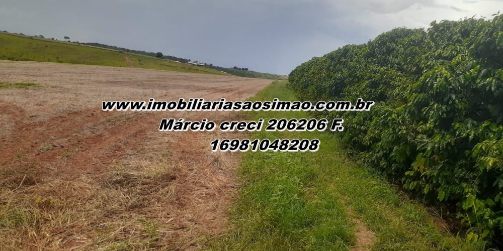 WhatsApp Image 2025-08-08 at 08.41.06 (3)