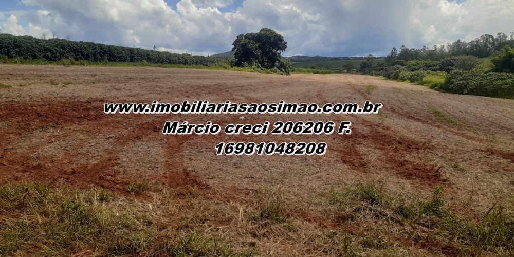 WhatsApp Image 2025-08-08 at 08.41.06