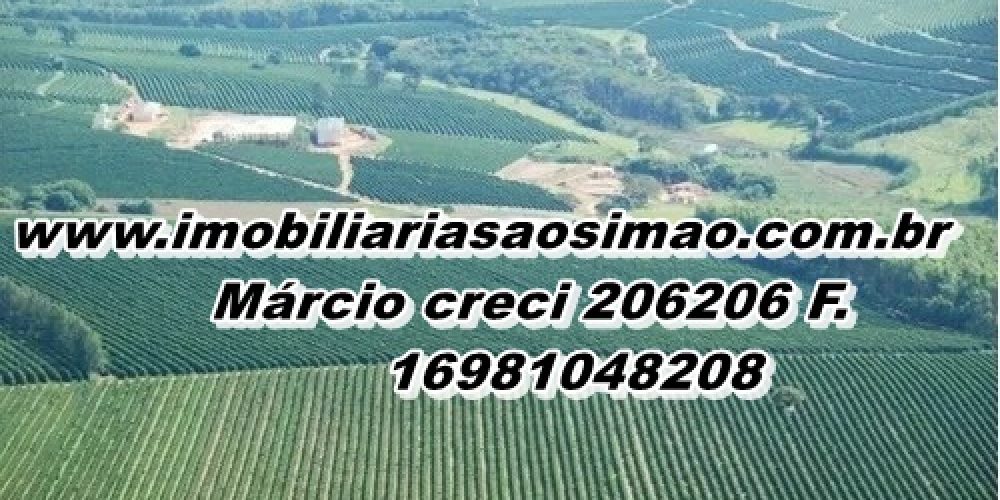 WhatsApp Image 2025-08-08 at 08.42.21 (1)