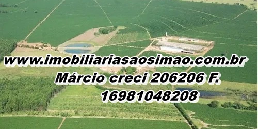 WhatsApp Image 2025-08-08 at 08.42.21