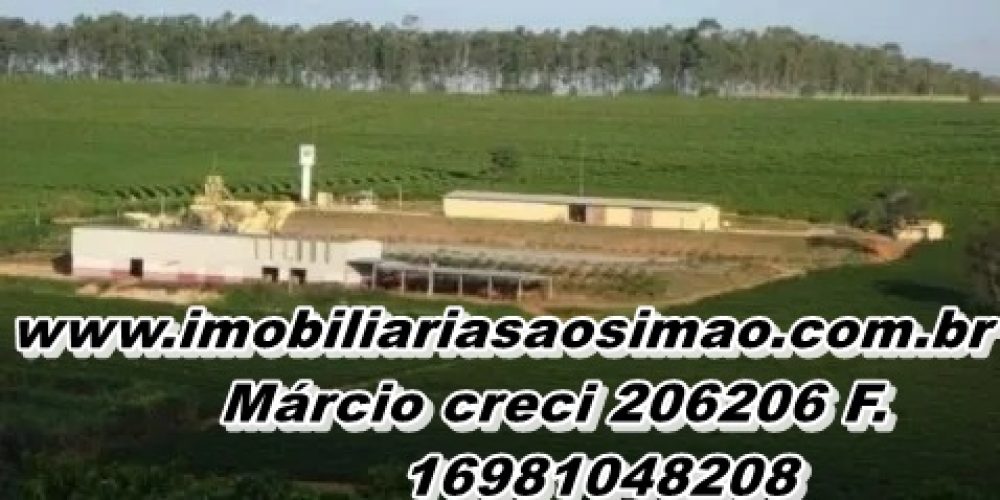 WhatsApp Image 2025-08-08 at 08.42.22 (1)