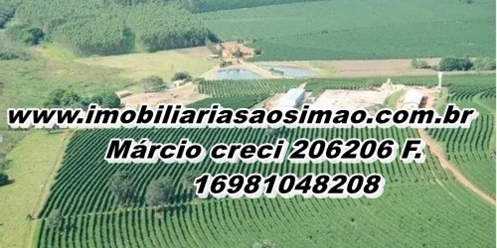 WhatsApp Image 2025-08-08 at 08.42.22 (2)