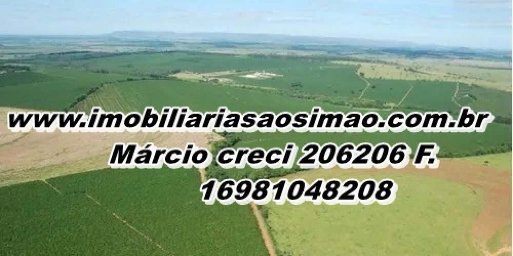 WhatsApp Image 2025-08-08 at 08.42.22 (3)