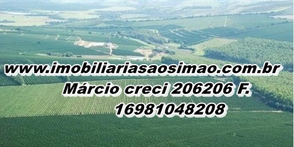 WhatsApp Image 2025-08-08 at 08.42.22