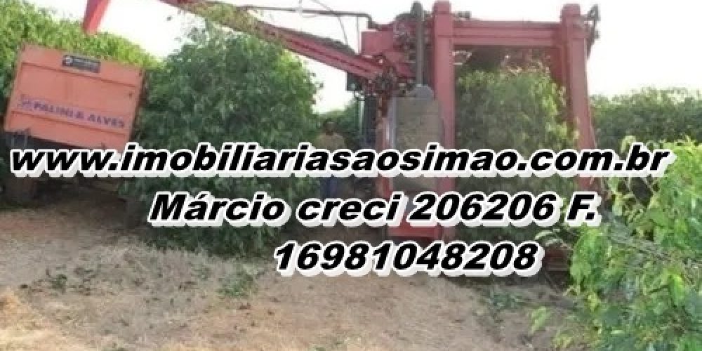 WhatsApp Image 2025-08-08 at 08.42.23 (1)