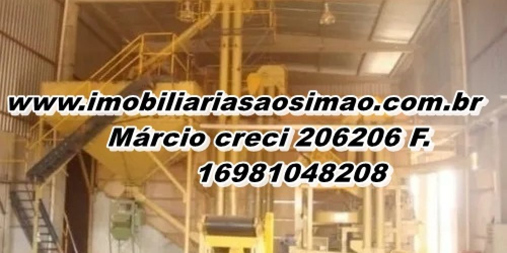 WhatsApp Image 2025-08-08 at 08.42.23 (3)