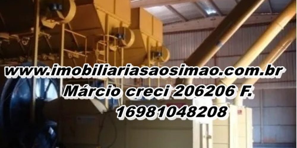 WhatsApp Image 2025-08-08 at 08.42.24