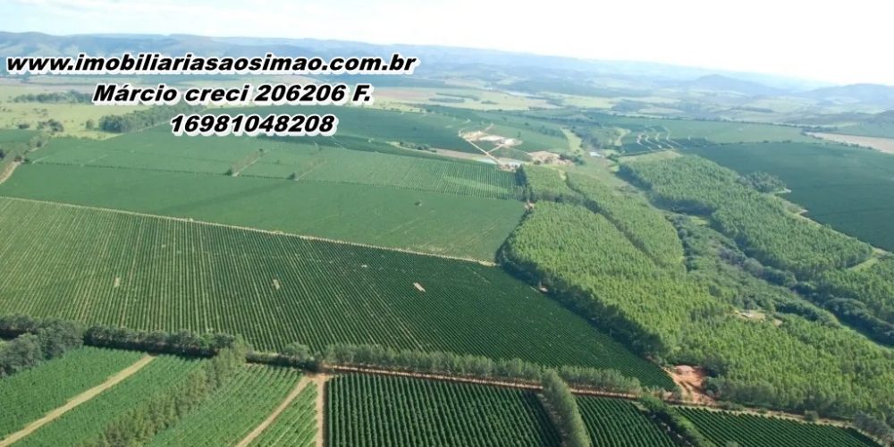 WhatsApp Image 2025-08-08 at 08.42.25 (2)