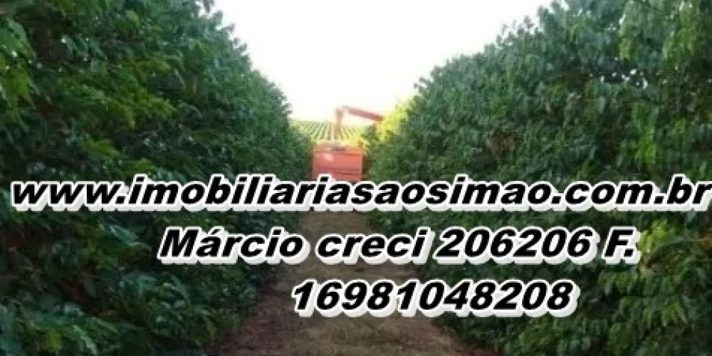 WhatsApp Image 2025-08-08 at 08.42.25