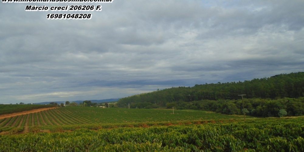 WhatsApp Image 2025-08-08 at 08.42.26 (1)