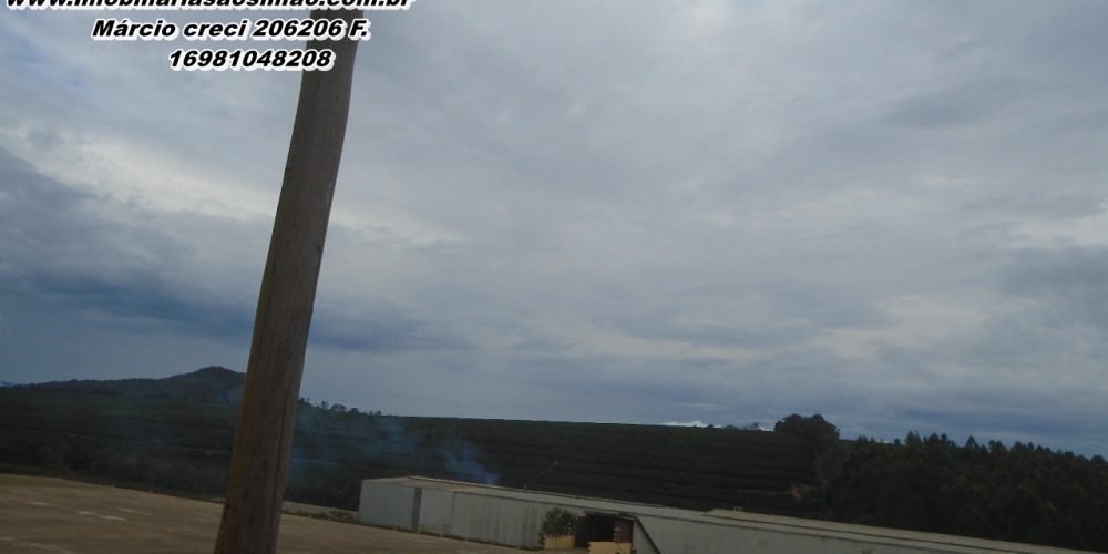 WhatsApp Image 2025-08-08 at 08.42.26 (3)