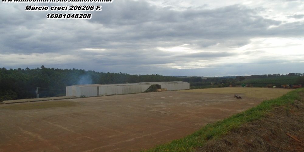 WhatsApp Image 2025-08-08 at 08.42.26 (4)