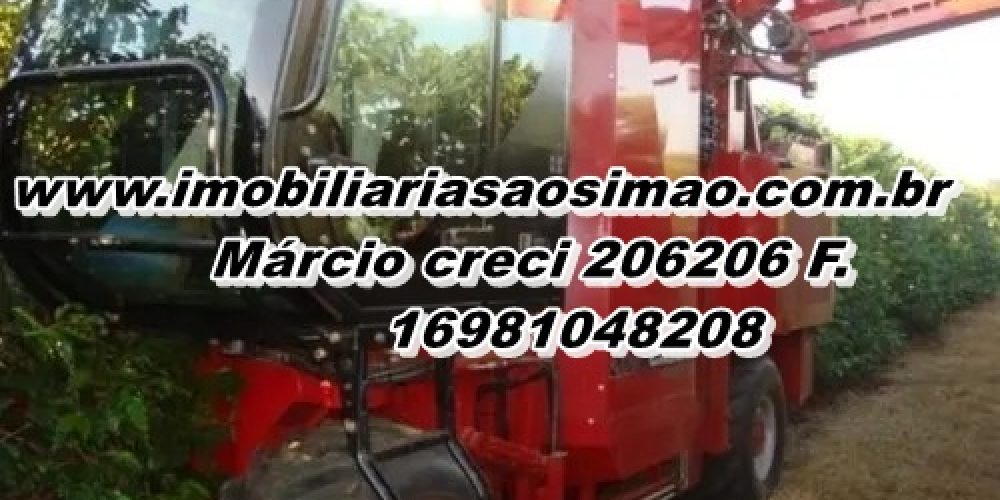 WhatsApp Image 2025-08-08 at 08.42.26