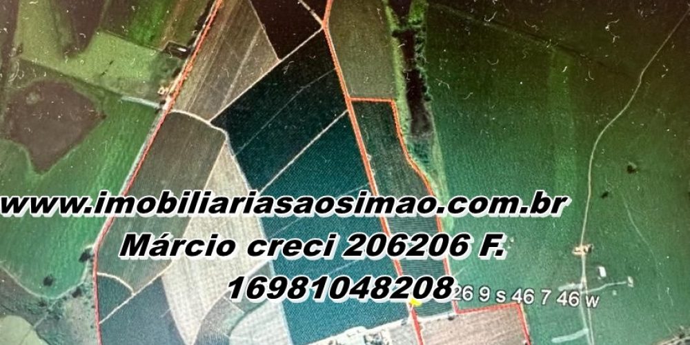 WhatsApp Image 2025-08-08 at 08.43.23