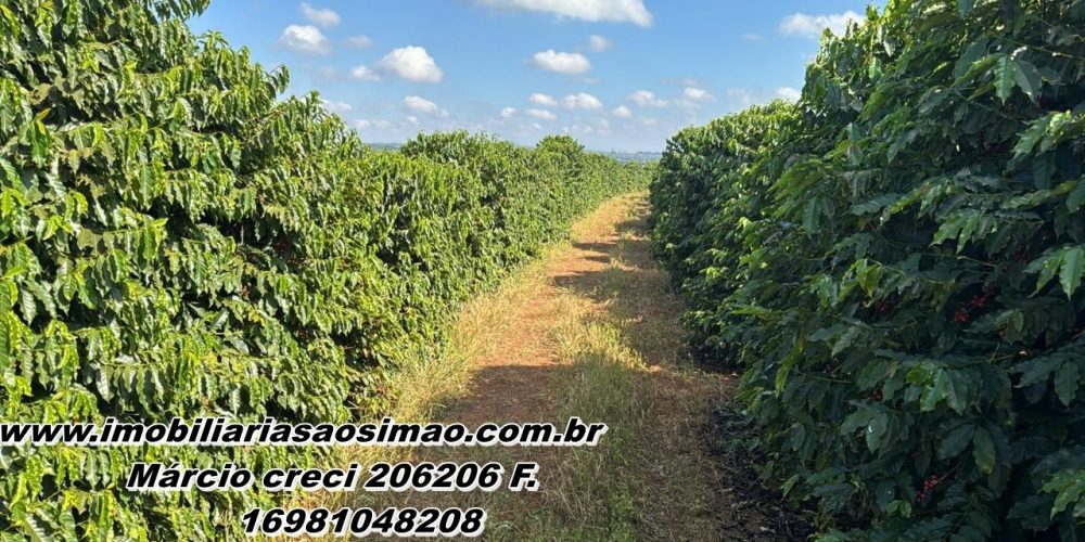 WhatsApp Image 2025-08-08 at 08.43.24 (1)