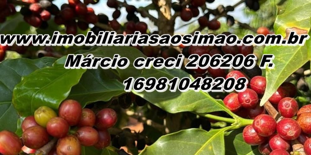 WhatsApp Image 2025-08-08 at 08.43.24 (3)