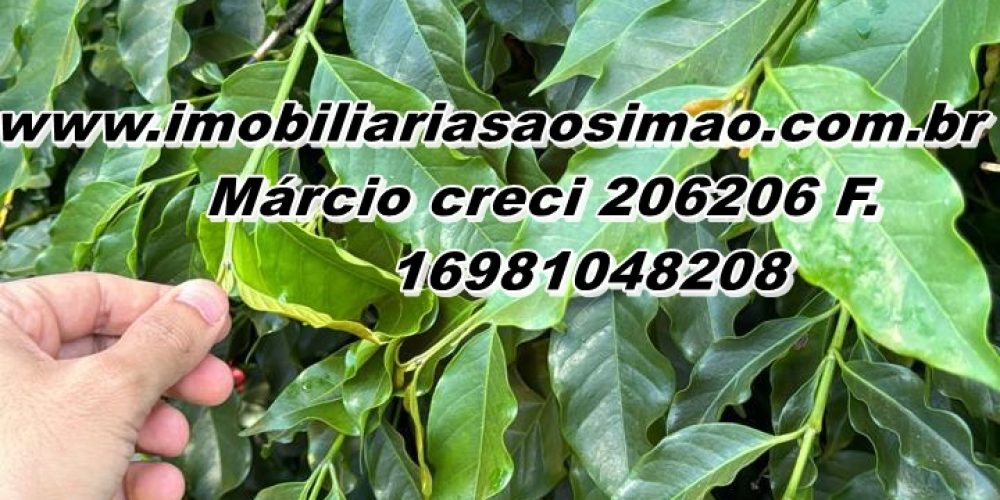 WhatsApp Image 2025-08-08 at 08.43.27 (1)