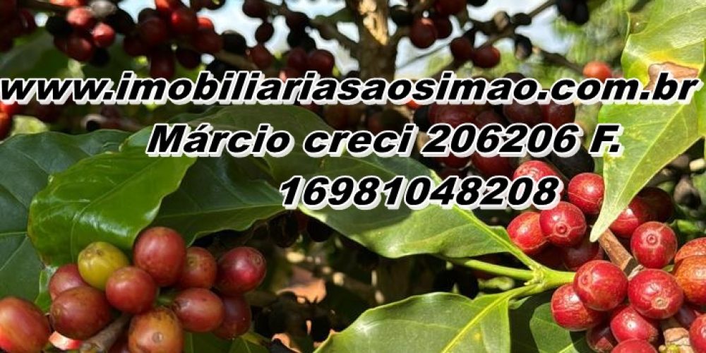 WhatsApp Image 2025-08-08 at 08.43.27